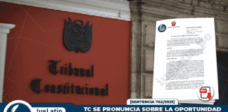 TC se pronuncia sobre la oportunidad de presentación de pruebas y su actuación por parte del juez
