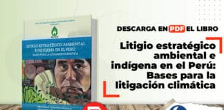 Litigio estratégico ambiental e indígena en el Perú Bases para la litigación climática